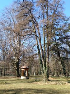 Zámecký park Měšice-IMG-20250321-WA0019