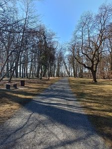 Zámecký park Měšice-IMG-20250321-WA0020