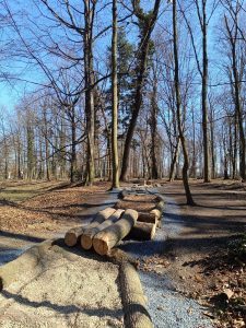 Zámecký park Měšice-IMG-20250321-WA0024