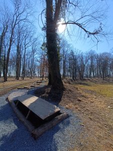 Zámecký park Měšice-IMG-20250321-WA0037