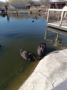 Zoopark Milíčov-IMG-20250322-WA0003