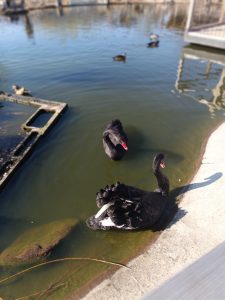 Zoopark Milíčov-IMG-20250322-WA0004