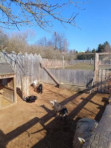 Zoopark Milíčov-IMG-20250322-WA0005