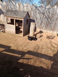 Zoopark Milíčov-IMG-20250322-WA0011