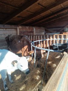 Zoopark Milíčov-IMG-20250322-WA0013