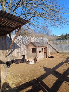 Zoopark Milíčov-IMG-20250322-WA0015