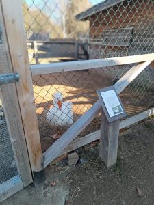 Zoopark Milíčov-IMG-20250322-WA0018