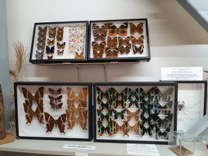 WhatsApp Image 2025-04-15 at 13.49.52 (1)