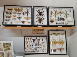 WhatsApp Image 2025-04-15 at 13.49.52