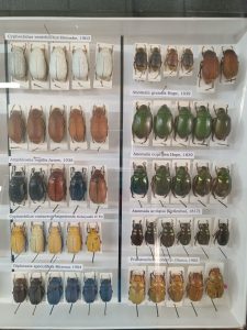 WhatsApp Image 2025-04-15 at 13.49.53 (1)