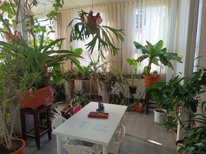 WhatsApp Image 2025-04-15 at 13.49.53