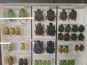 WhatsApp Image 2025-04-15 at 13.49.54 (1)