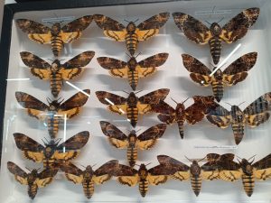 WhatsApp Image 2025-04-15 at 13.49.55