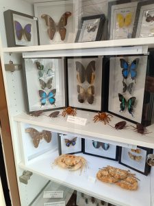 WhatsApp Image 2025-04-15 at 13.49.58 (2)