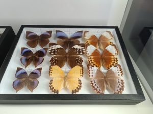 WhatsApp Image 2025-04-15 at 13.49.58