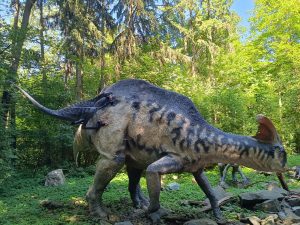 WhatsApp Image 2025-07-15 at 18.28.48 (1)