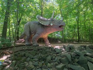 WhatsApp Image 2025-07-15 at 18.28.49 (1)