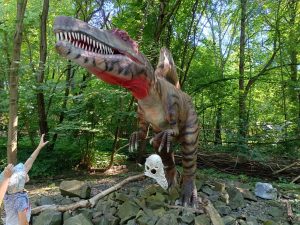 WhatsApp Image 2025-07-15 at 18.28.49 (2)