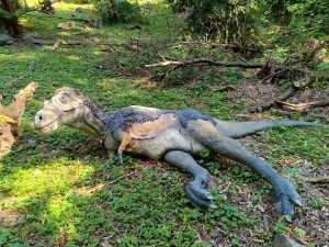 WhatsApp Image 2025-07-15 at 18.28.49 (3)