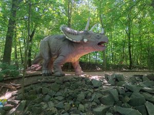 WhatsApp Image 2025-07-15 at 18.28.49