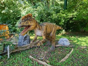 WhatsApp Image 2025-07-15 at 18.28.50 (1)