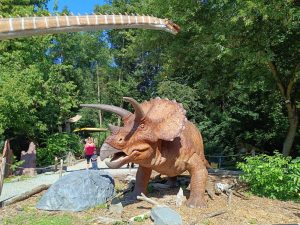 WhatsApp Image 2025-07-15 at 18.28.50 (4)