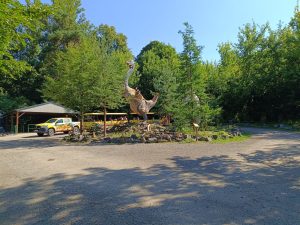 WhatsApp Image 2025-07-15 at 18.28.50 (5)