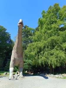 WhatsApp Image 2025-07-15 at 18.28.51 (1)