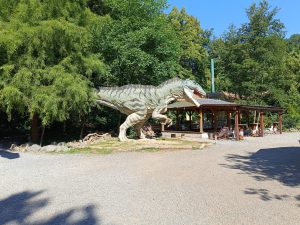 WhatsApp Image 2025-07-15 at 18.28.51 (2)