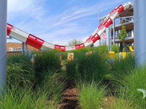 WhatsApp Image 2025-07-15 at 18.30.04 (1)