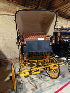 WhatsApp Image 2025-09-05 at 15.23.24