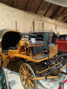 WhatsApp Image 2025-09-05 at 15.23.25