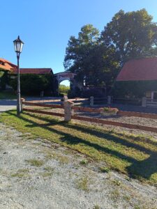 WhatsApp Image 2025-09-05 at 15.23.29