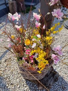 WhatsApp Image 2025-09-07 at 10.24.03 (1)