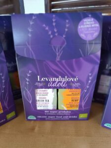 WhatsApp Image 2025-09-07 at 10.24.10 (1)