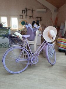 WhatsApp Image 2025-09-07 at 10.24.10