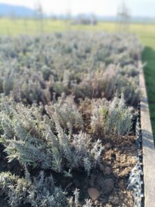 WhatsApp Image 2025-09-07 at 10.24.11 (4)