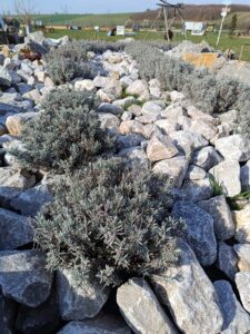 WhatsApp Image 2025-09-07 at 10.24.12