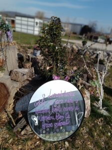 WhatsApp Image 2025-09-07 at 10.24.13