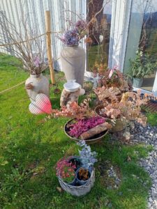 WhatsApp Image 2025-09-07 at 10.24.14