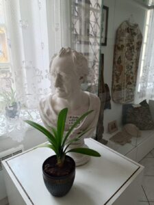 WhatsApp Image 2025-10-26 at 19.29.54 (3)