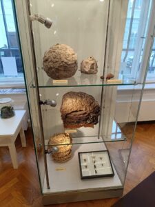 WhatsApp Image 2025-10-26 at 19.38.32 (1)