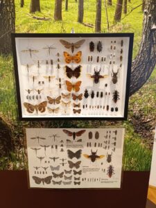 WhatsApp Image 2025-10-26 at 19.38.32