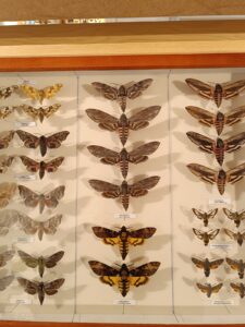 WhatsApp Image 2025-10-26 at 19.38.34