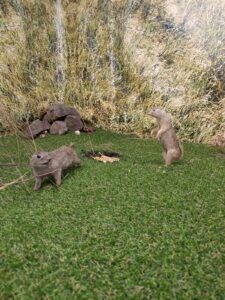 WhatsApp Image 2025-10-26 at 19.38.50 (2)