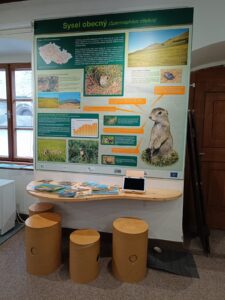 WhatsApp Image 2025-10-26 at 19.38.50