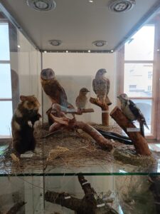 WhatsApp Image 2025-10-26 at 19.38.50 (3)