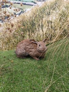 WhatsApp Image 2025-10-26 at 19.38.50 (4)