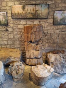 WhatsApp Image 2025-10-26 at 19.38.52 (1)