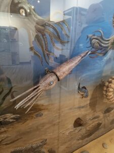 WhatsApp Image 2025-10-26 at 19.38.52 (2)